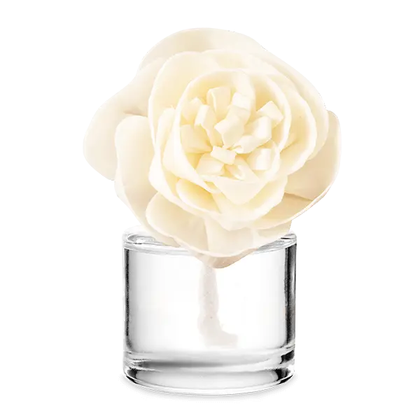 Autumn Road Trip – Buttercup Belle Fragrance Flower