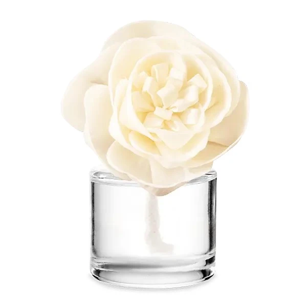 Cider Mill – Buttercup Belle Fragrance Flower