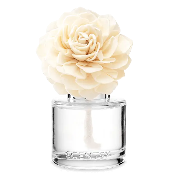 Perfect Peppermint - Dahlia Darling Fragrance Flower