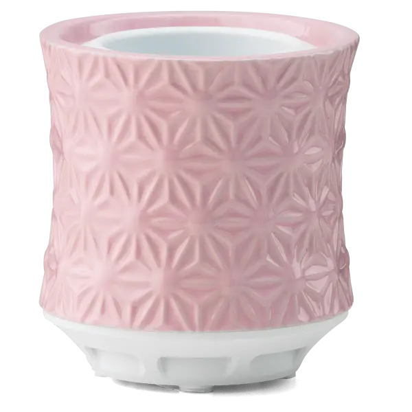 Scentsy Air – Burst