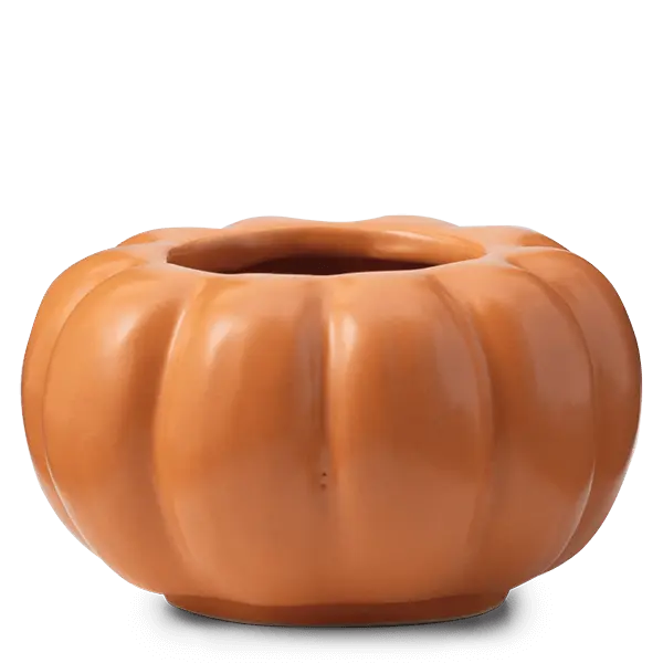 Color Me Pumpkin replacement dish