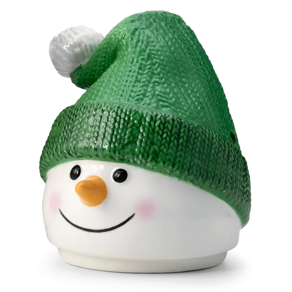 Looks Like Snow replacement lid