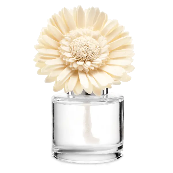Cider Mill - Dainty Daisy Fragrance Flower