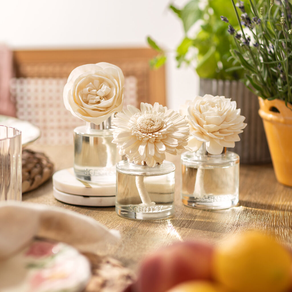 Scentsy unplugged fragrance products