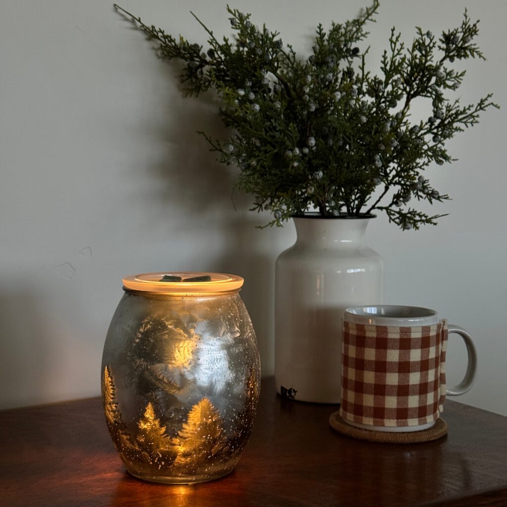 Scentsy warmers and wax bars