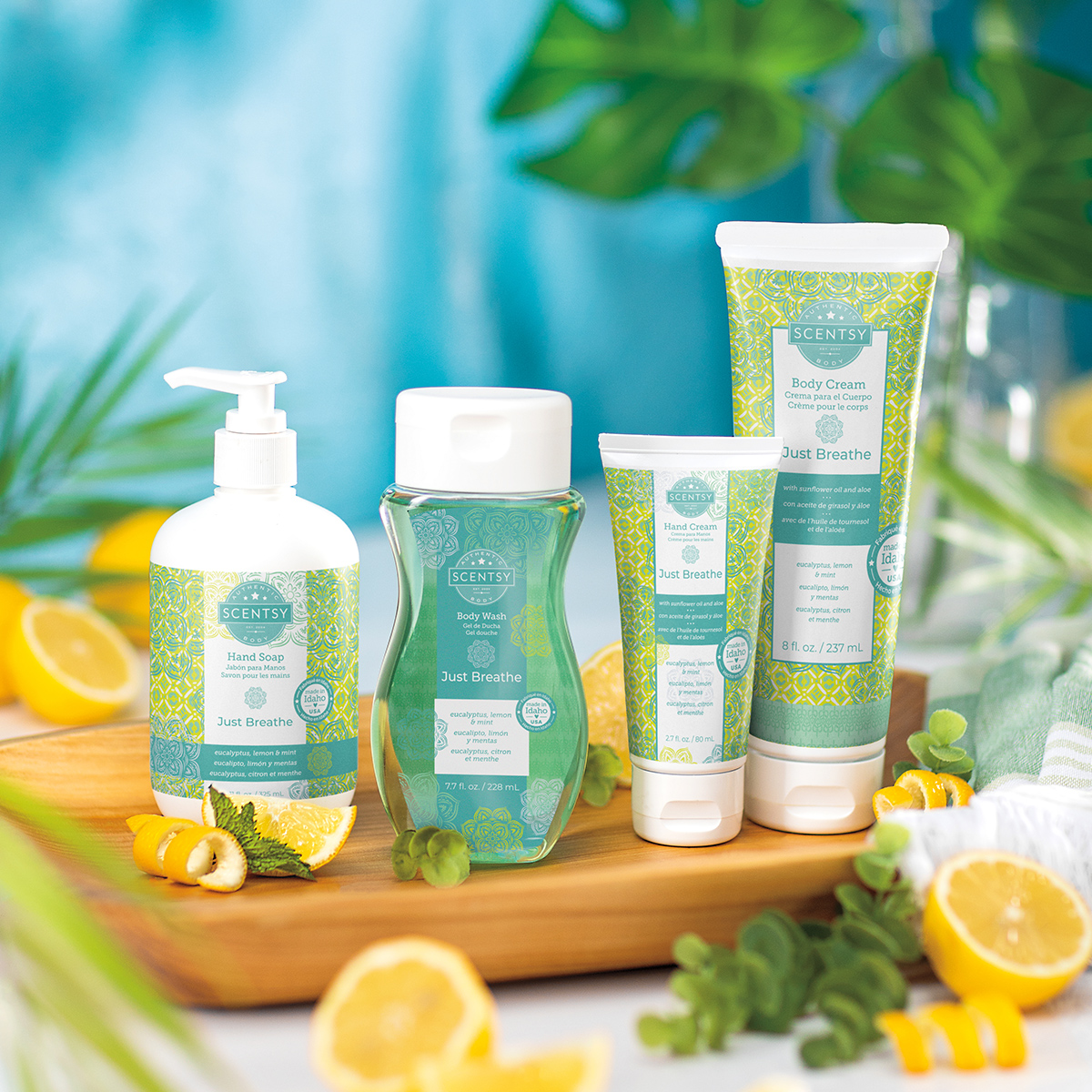 Shop Scentsy body care — body wash, hand cream, and hand soap