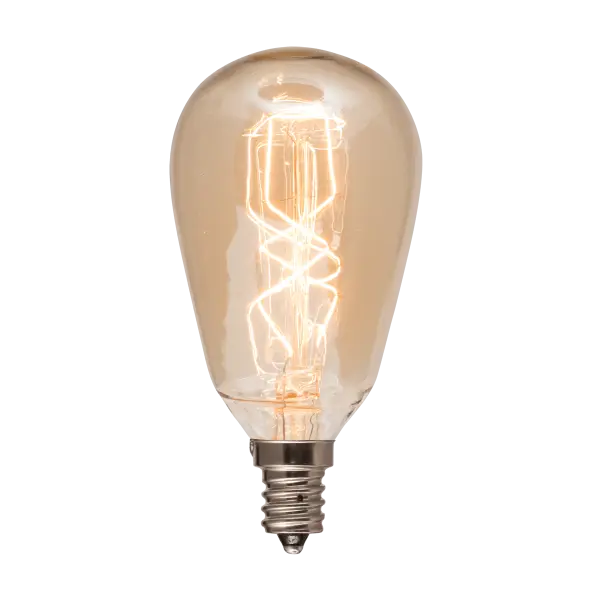 40-Watt Edison Bulb