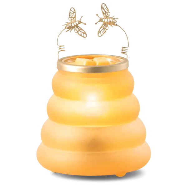 Beehive Warmer