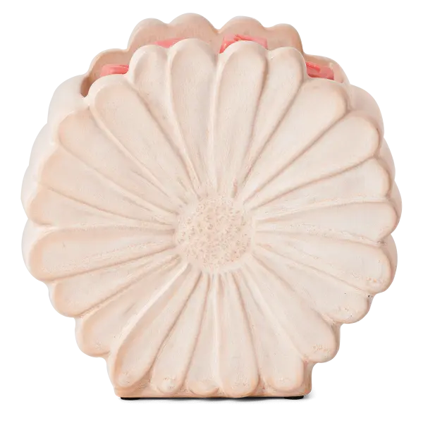 Daisy Warmer
