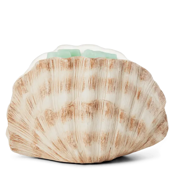 Seashell Warmer