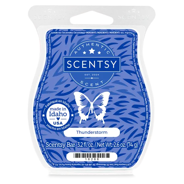 Thunderstorm Scentsy Bar