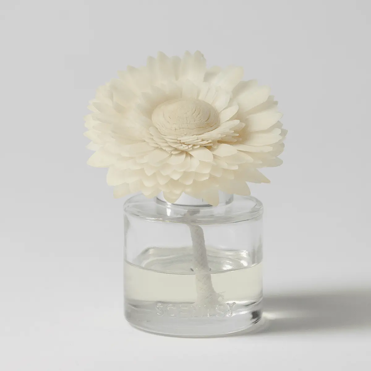Bora Bora Blossom – Dainty Daisy Fragrance Flower photo 1