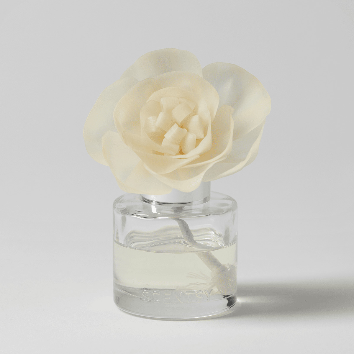 Camu Camu – Buttercup Belle Fragrance Flower photo 1