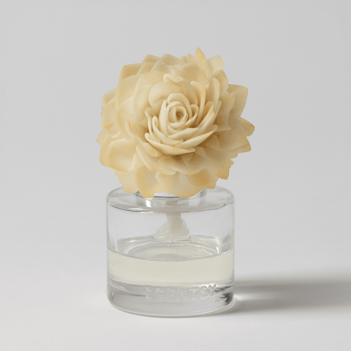 Camu Camu – Dahlia Darling Fragrance Flower photo 1