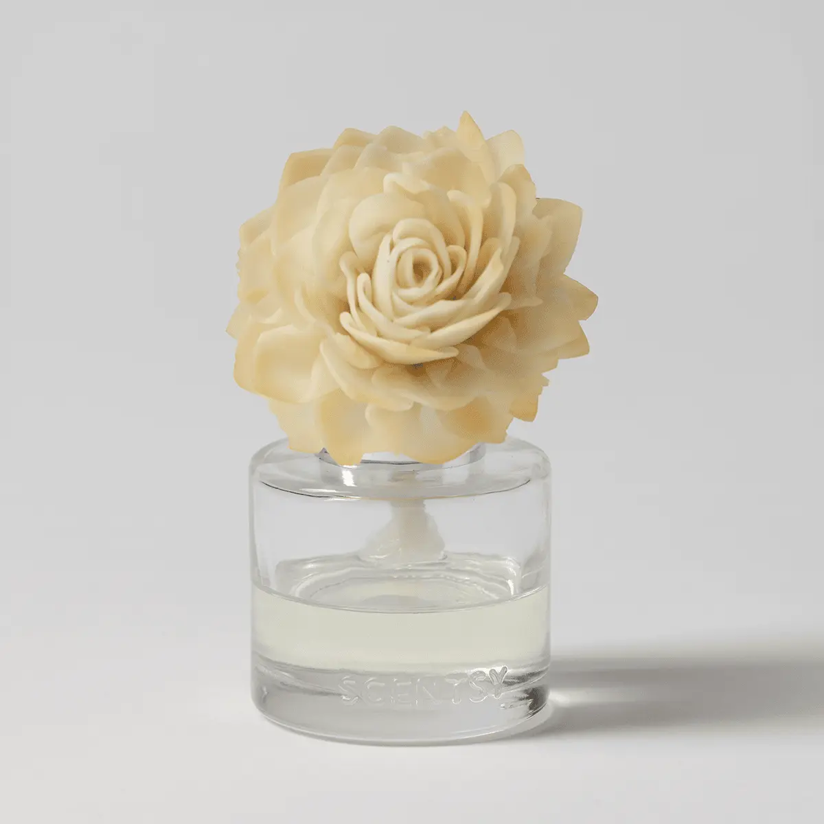 Blue Grotto – Dahlia Darling Fragrance Flower photo 1
