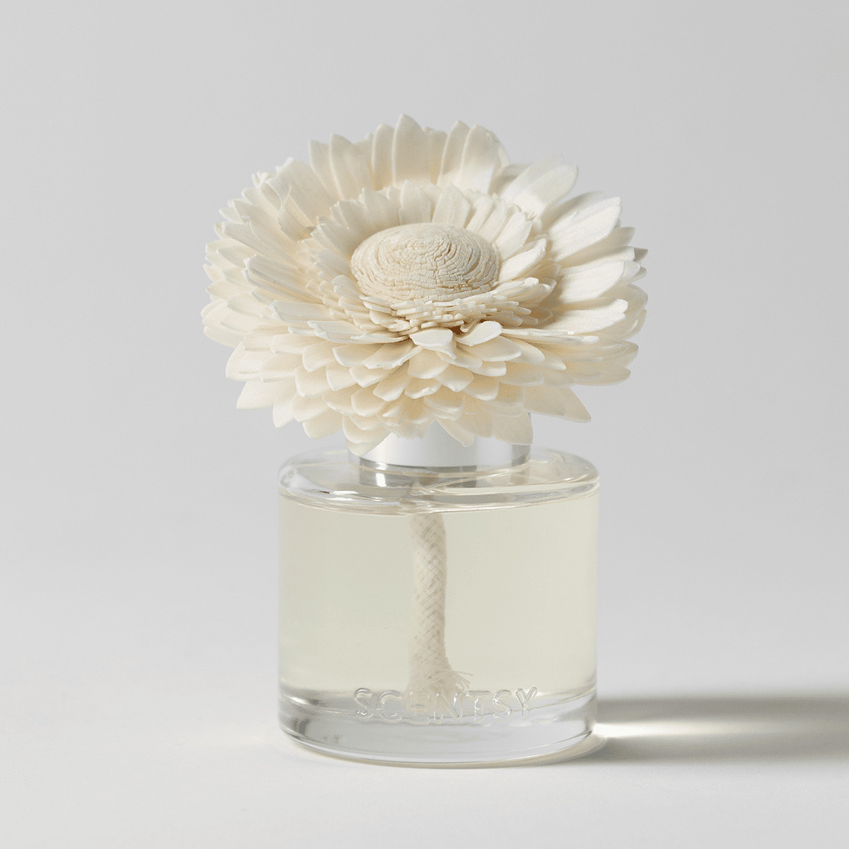 Blue Grotto – Dainty Daisy Fragrance Flower photo 2