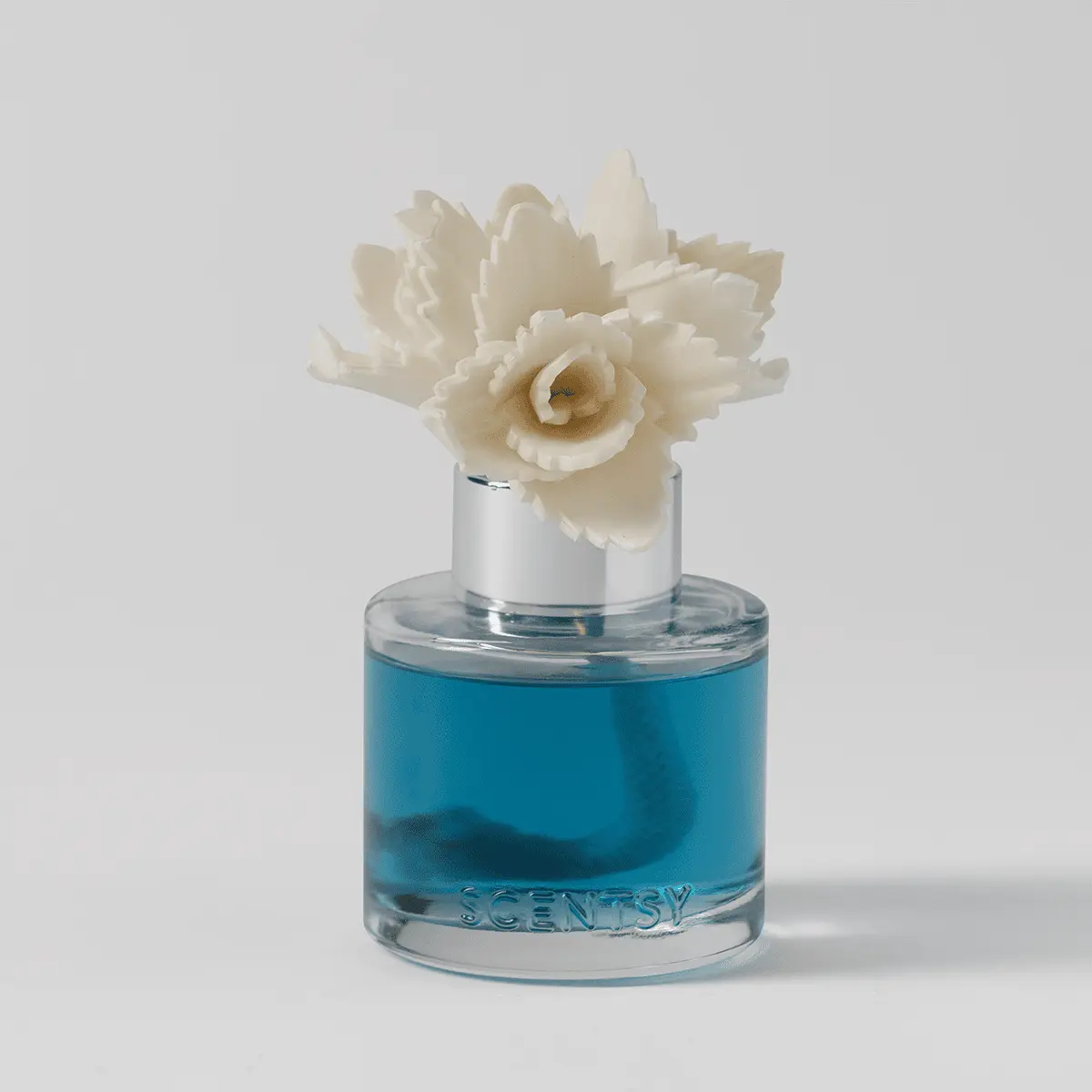 Serene Succulent – Dainty Daisy Fragrance Flower photo 2