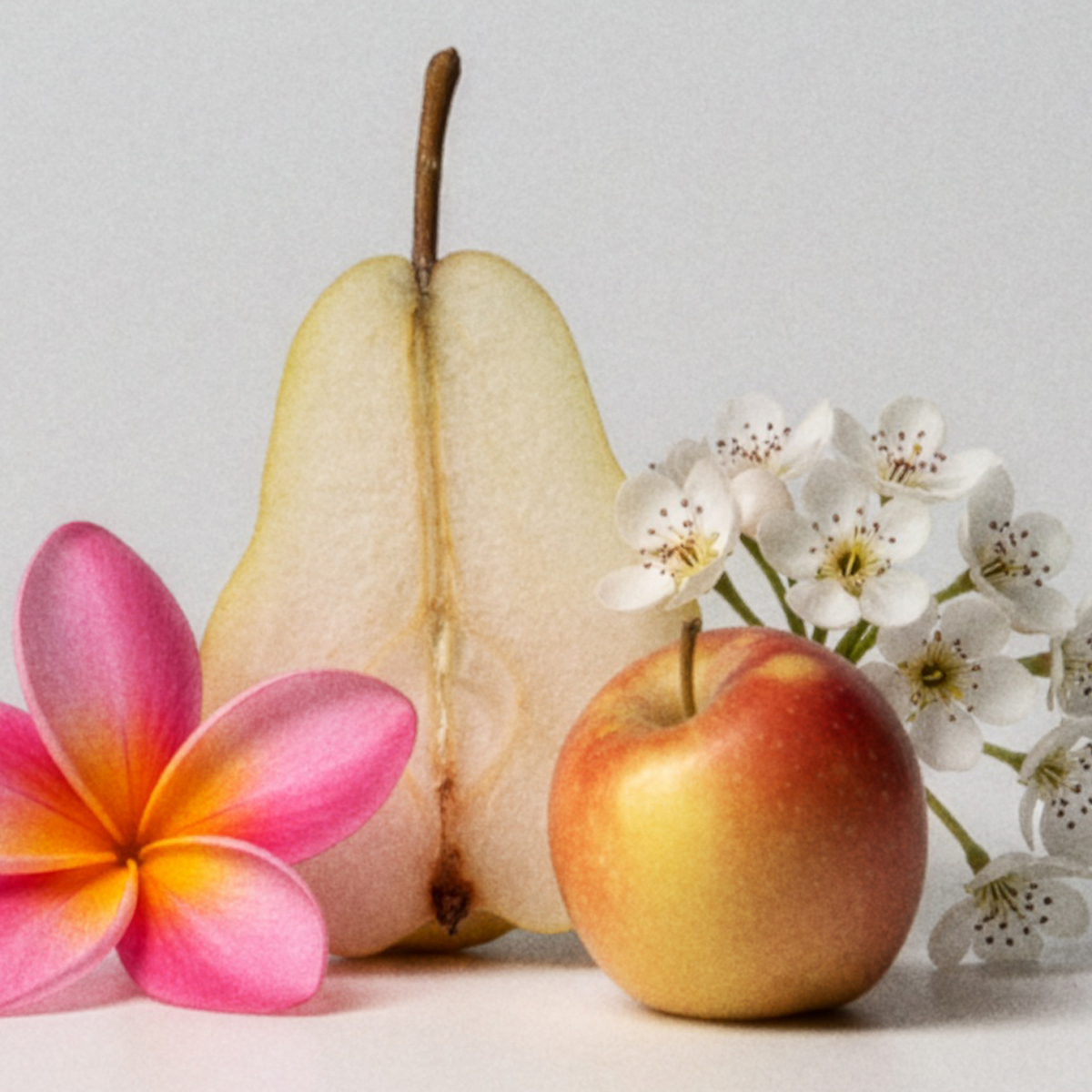 Fiji Flower Scentsy Fresh photo 2