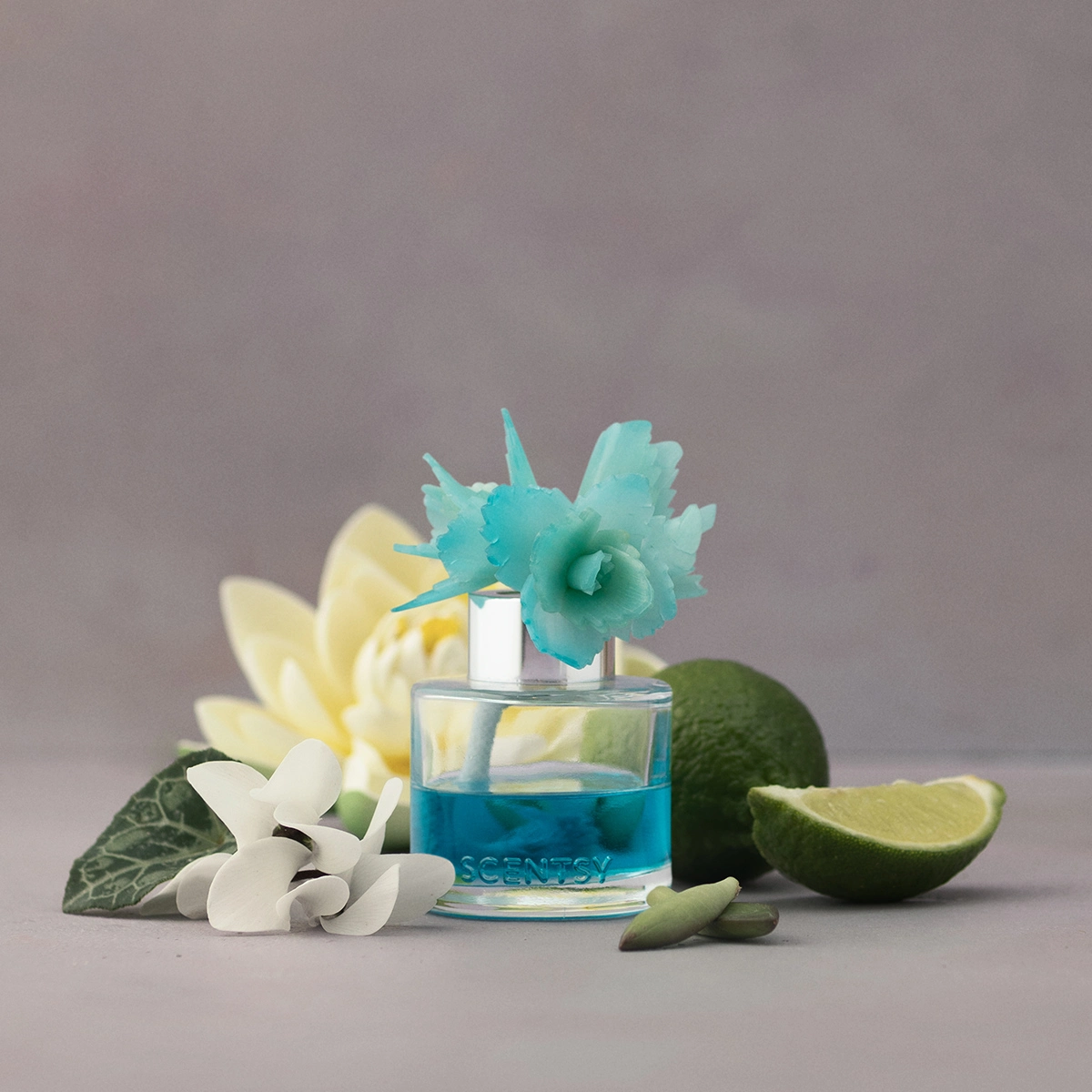 Serene Succulent – Dainty Daisy Fragrance Flower photo 4