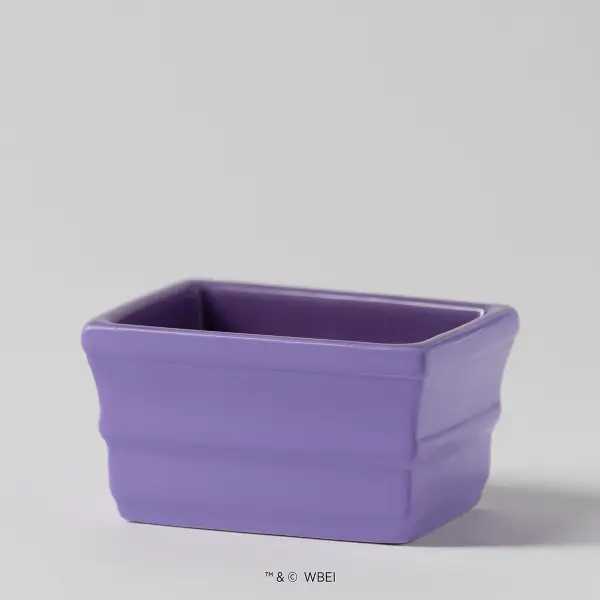 The One With the Yellow Frame – Scentsy replacement dish
