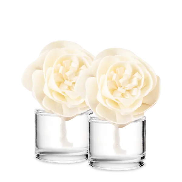 Mystery Fragrance Flower 2-pack