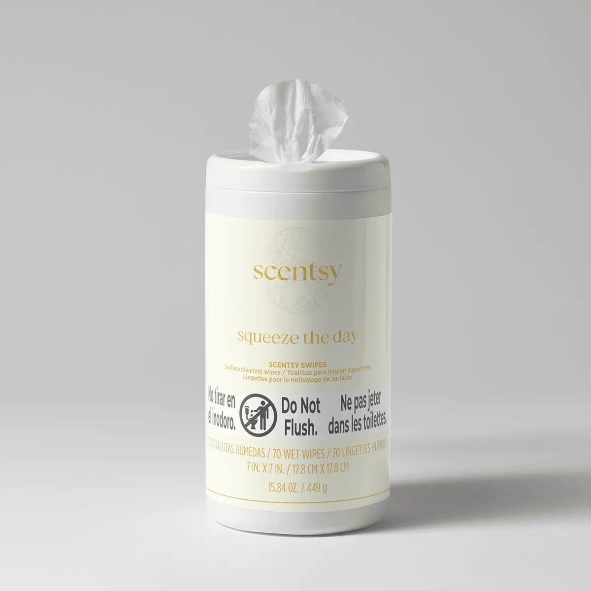 Squeeze the Day Scentsy Swipes photo 1