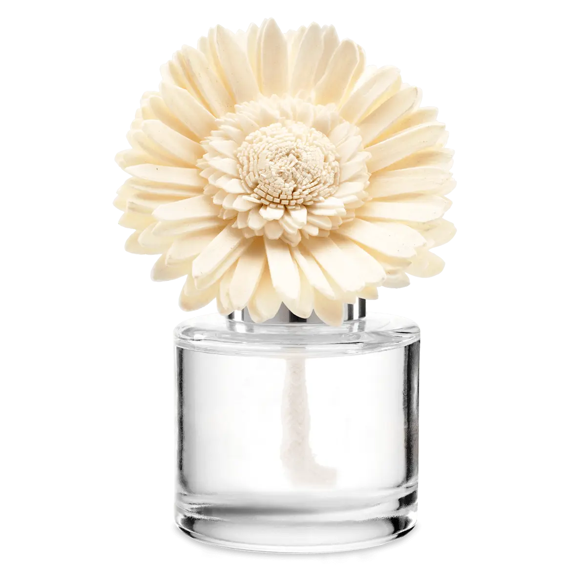 Go, Go, Mango – Dainty Daisy Fragrance Flower photo 1
