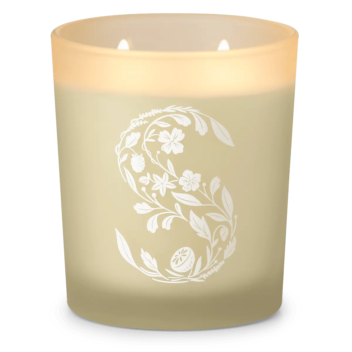 Black Raspberry Vanilla Scented Candle photo 3