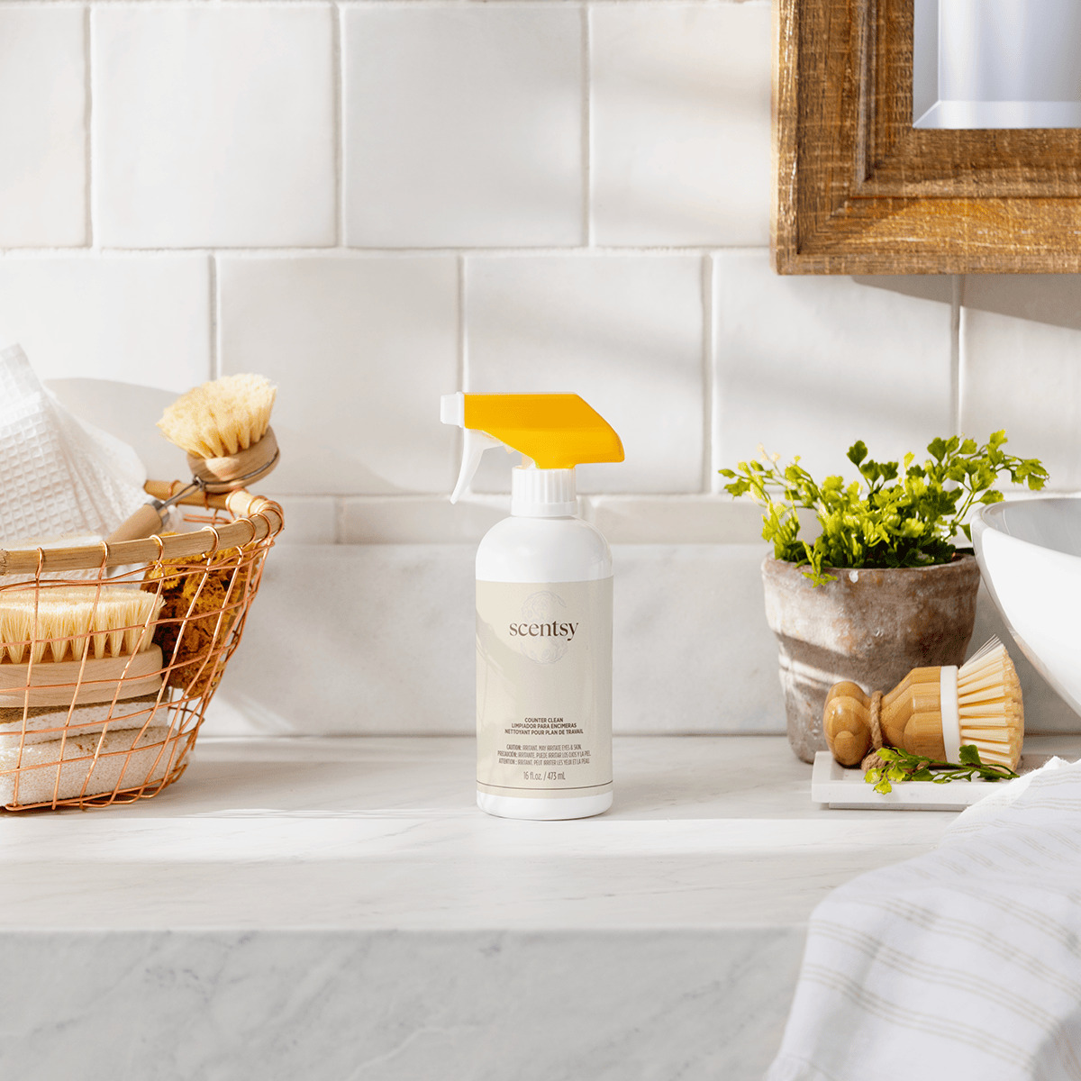 Sunkissed Citrus Counter Clean photo 5