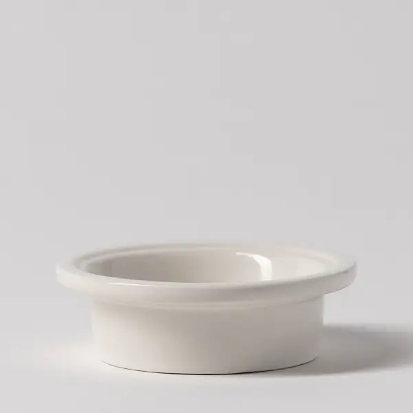 Amalfi Limone replacement dish