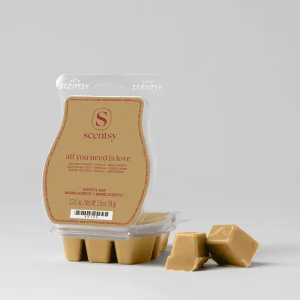 All You Need Is Love Scentsy Bar
