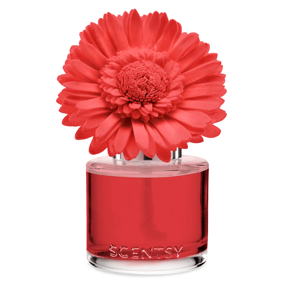Santorini Blossoms – Dainty Daisy Fragrance Flower photo 1