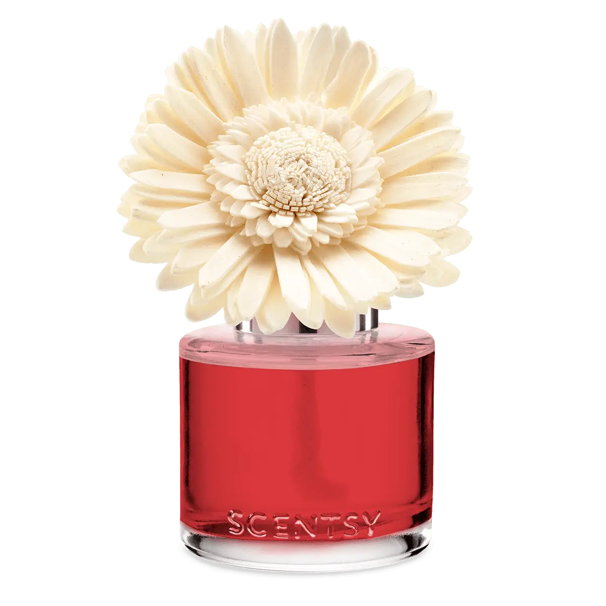 Santorini Blossoms – Dainty Daisy Fragrance Flower photo 2