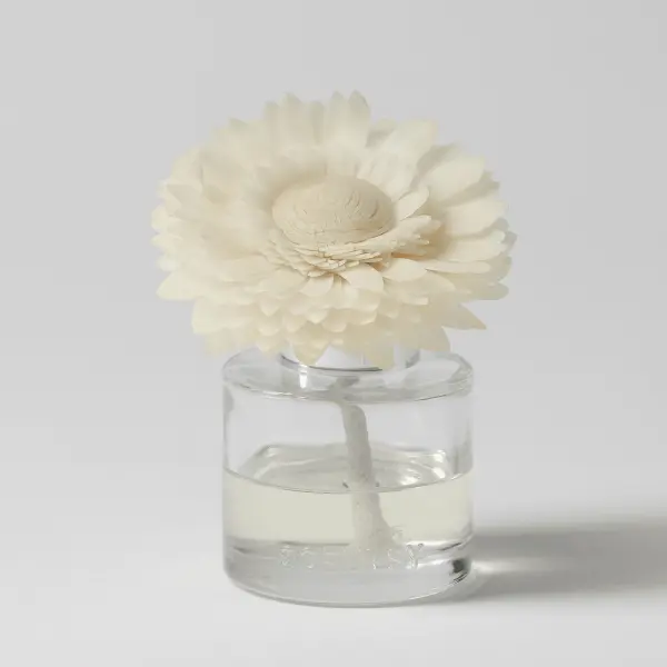 Cider & Crimson Berries - Dainty Daisy Fragrance Flower