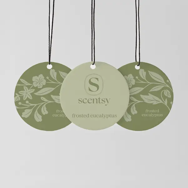 Frosted Eucalyptus Scent Circle 3-Pack
