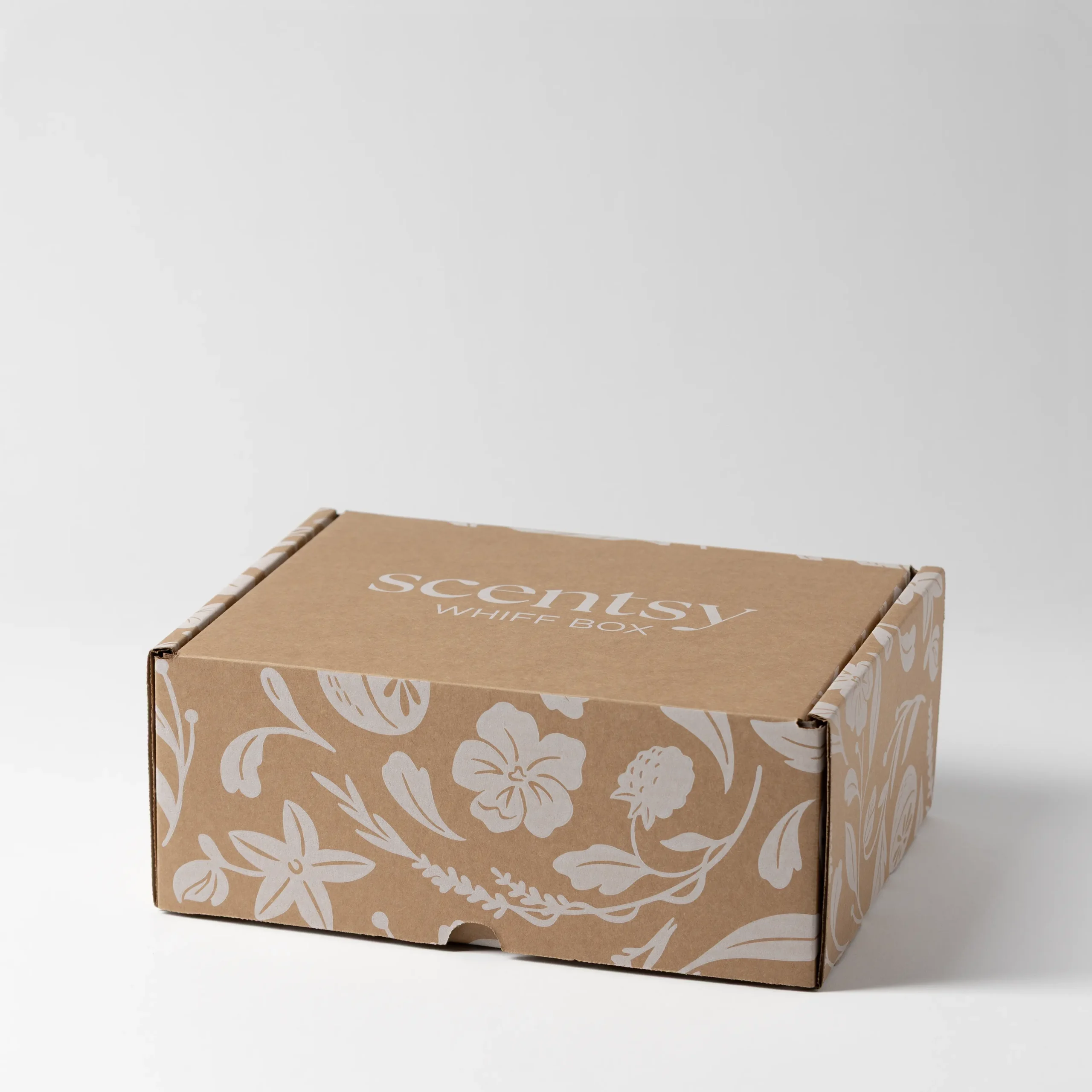 February Scentsy Whiff Box photo 1