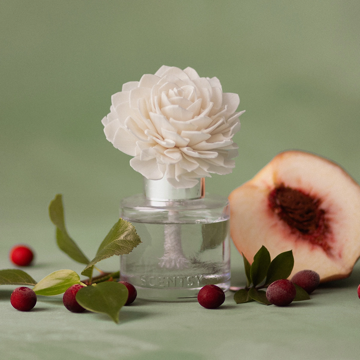 Apple Harvest Dreams – Dainty Daisy Fragrance Flower photo 4