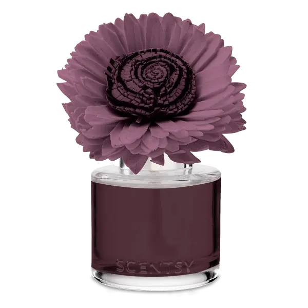 Berry Apple Shortbread - Stunning Sunflower Fragrance Flower