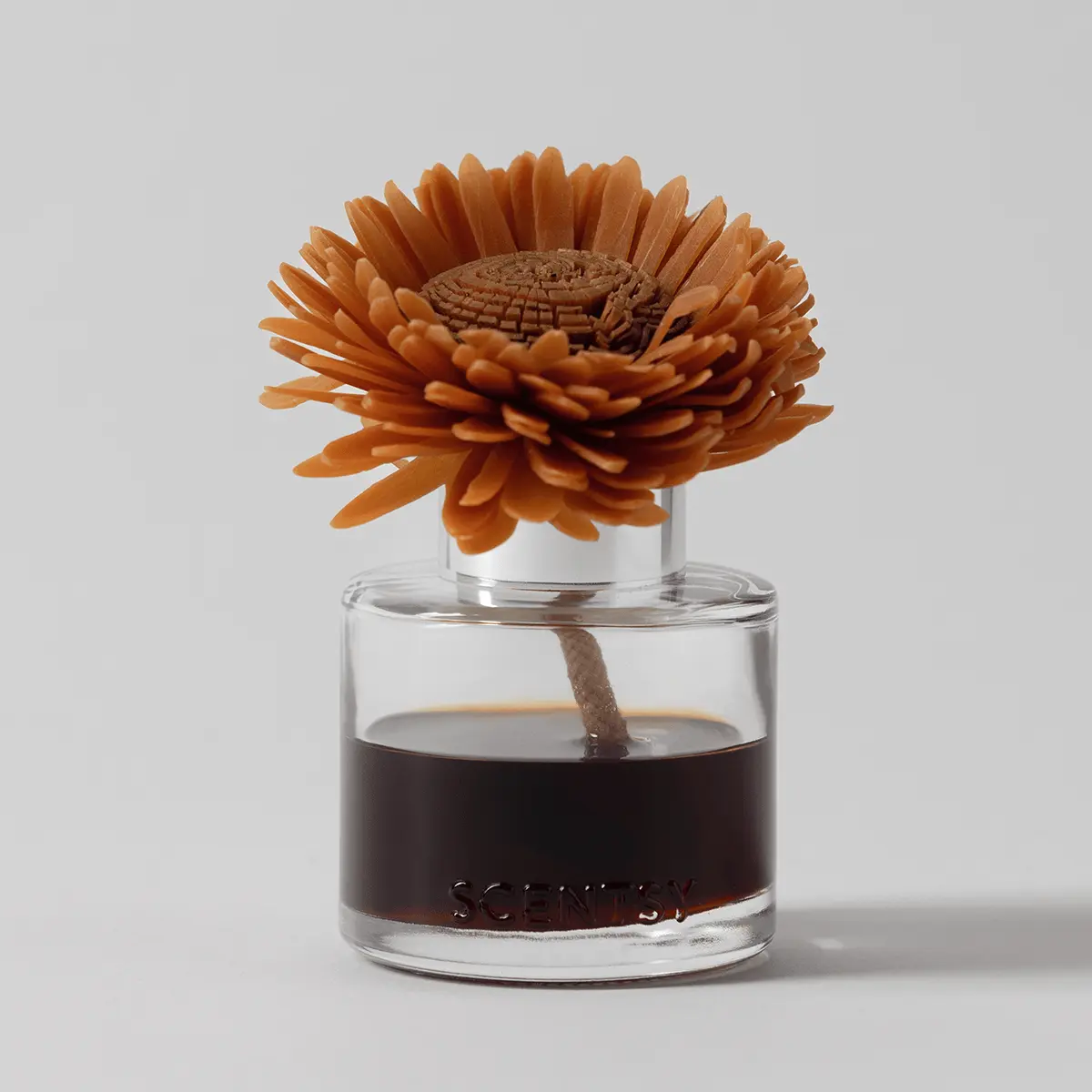 Pumpkin Oak – Stunning Sunflower Fragrance Flower photo 1