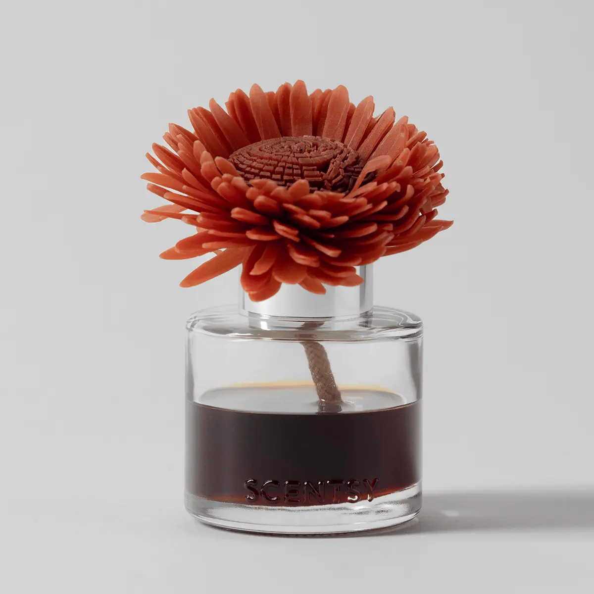 Wild Cherry Fire – Stunning Sunflower Fragrance Flower photo 1