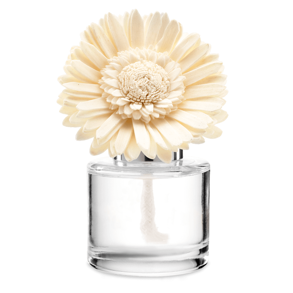 Berry Sweet – Dainty Daisy Fragrance Flower photo 1