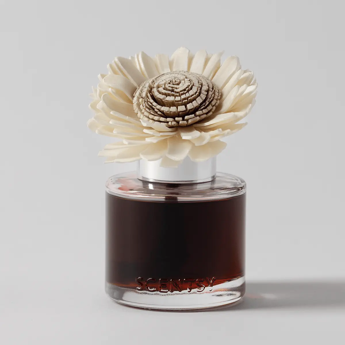 Wild Cherry Fire – Stunning Sunflower Fragrance Flower photo 2