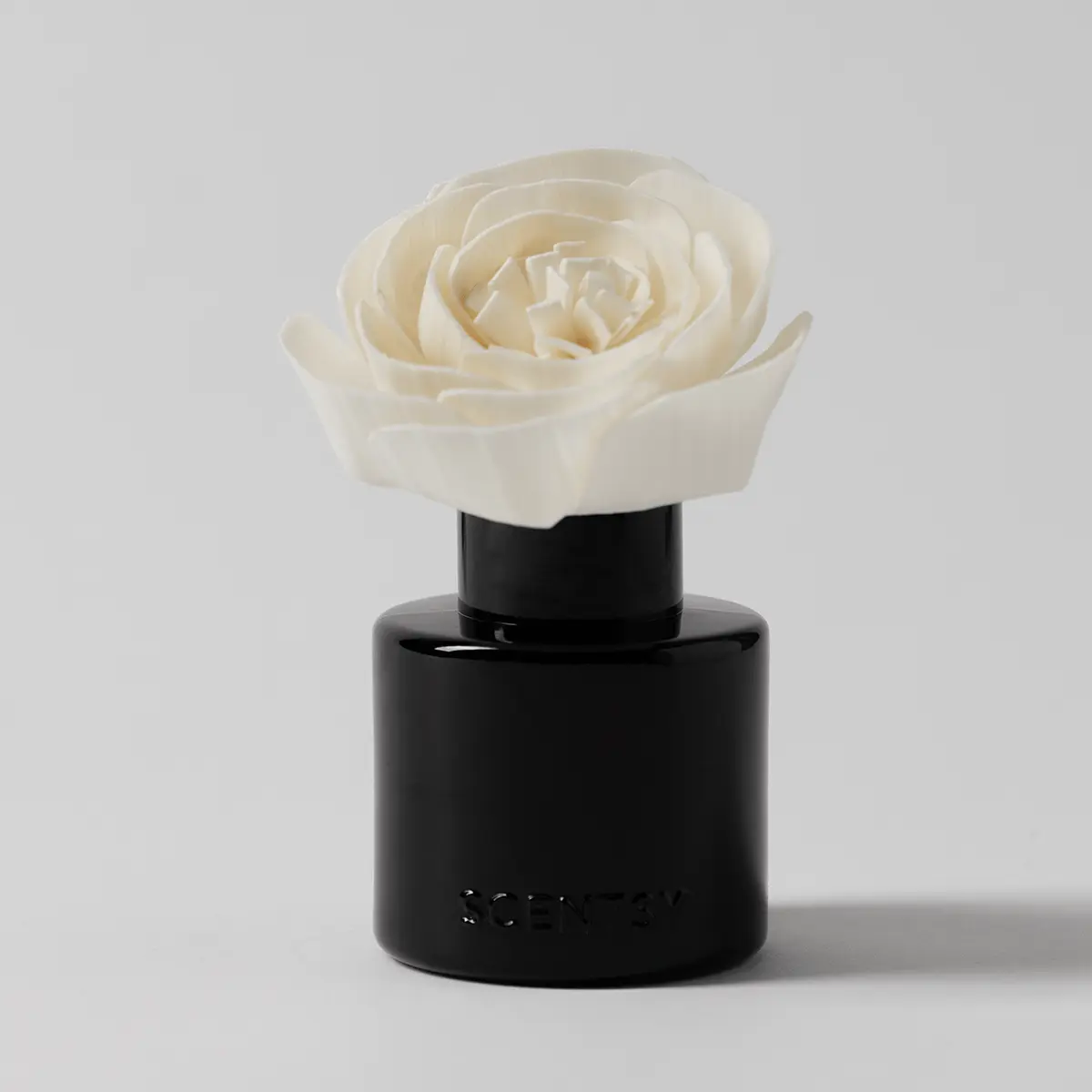 Black Luna Night – Buttercup Belle Fragrance Flower photo 2