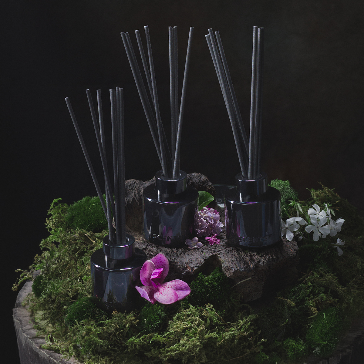 Black Luna Night – Reed Diffuser photo 2