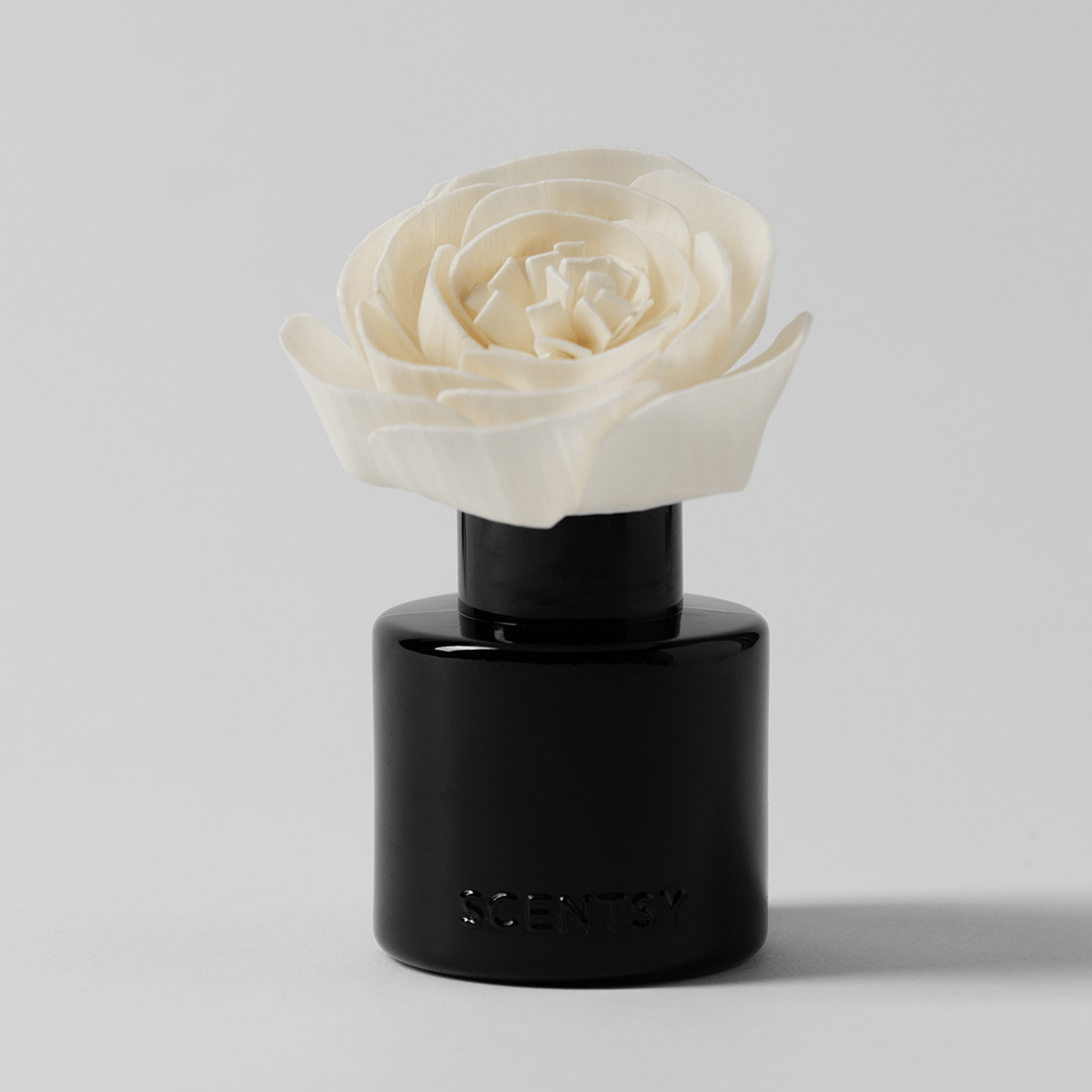 Lost In The Amazon – Buttercup Belle Fragrance Flower photo 2