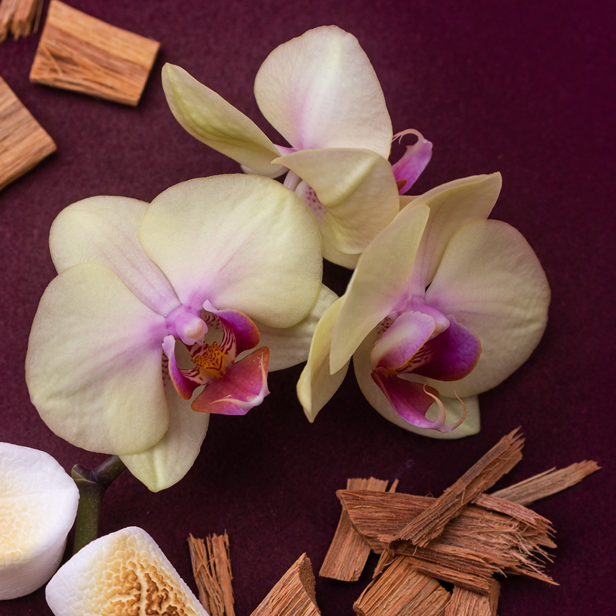 Midnight Sandalwood Scented Candle photo 3