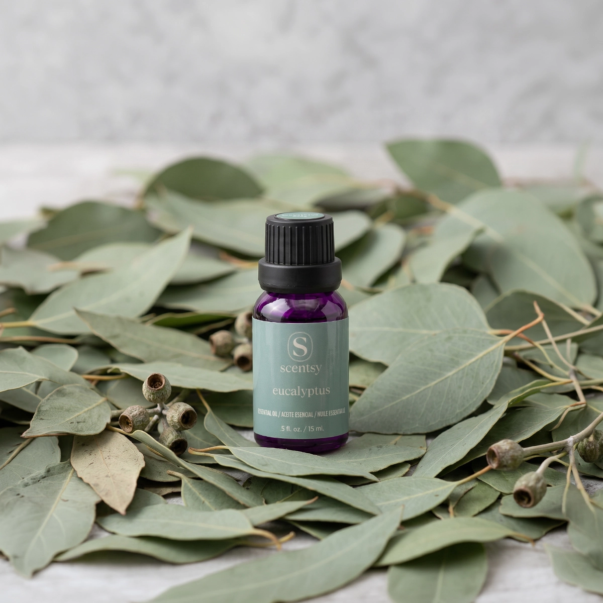 Eucalyptus 100% Pure Essential Oil 100% Pure Essential Oil photo 4