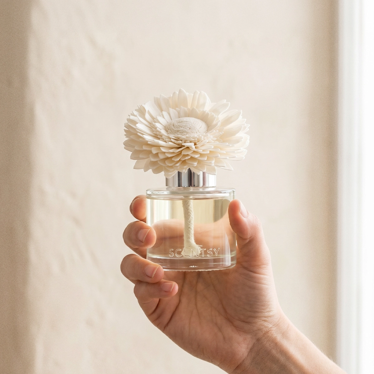Snowberry – Dainty Daisy Fragrance Flower photo 6
