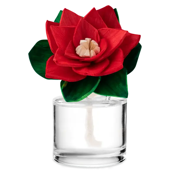 Vanilla Barnwood - Radiant Red Poinsettia Fragrance Flower