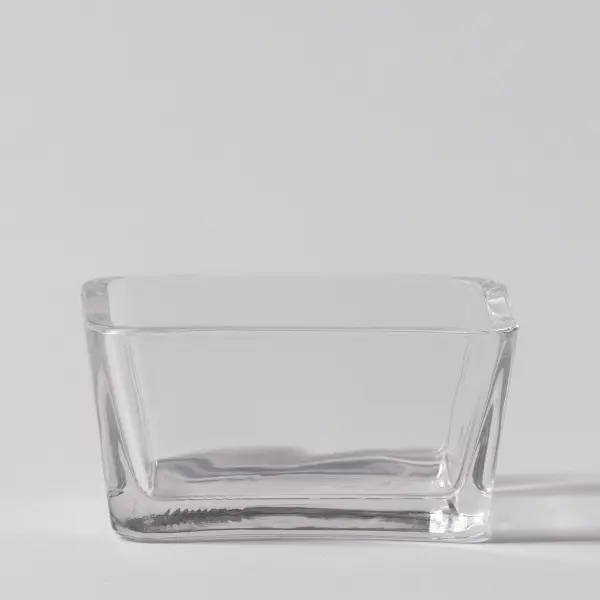 Magic of Winter replacement dish